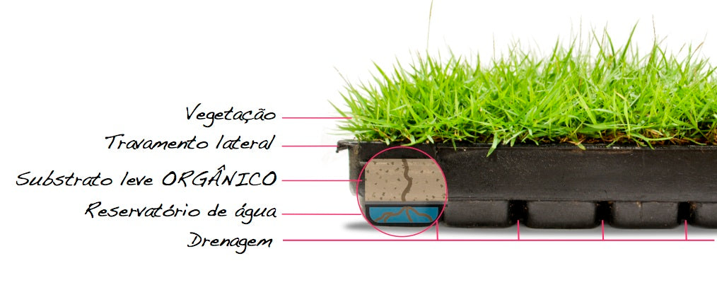 Jardim formado sobre laje com a Bandeja Modular Cidade Jardim